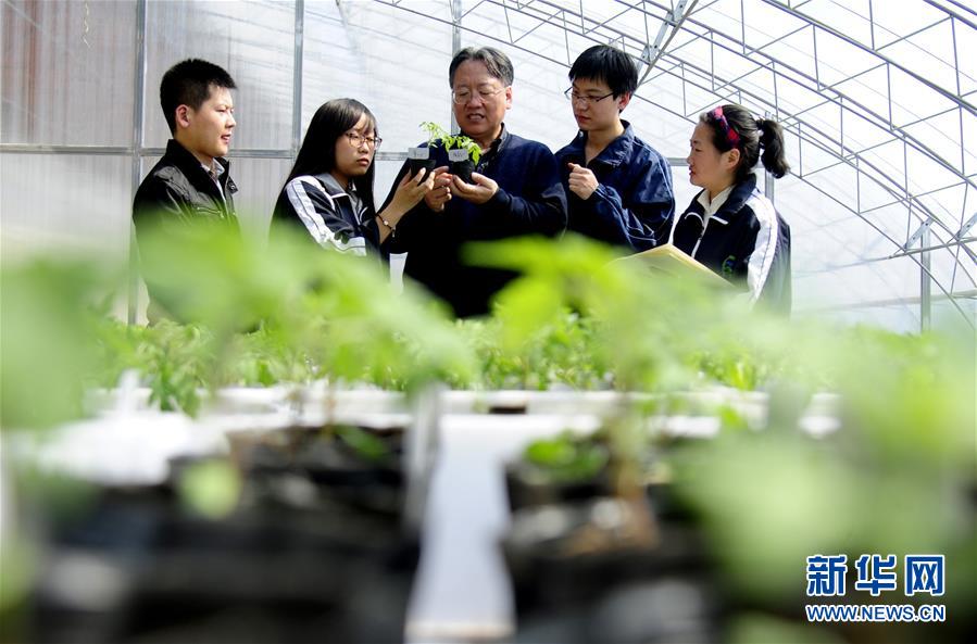 (新華全媒頭條·圖文互動(dòng))(7)和蔬菜“說話”的人——中國工程院院士李天來的“棚菜人生”