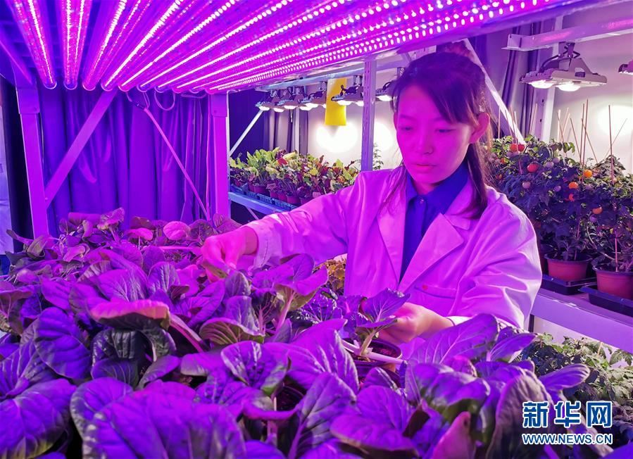 (愛國情 奮斗者·圖文互動)(5)池建義團隊:把論文寫在產(chǎn)品上