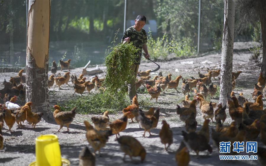 （新華全媒頭條&middot;圖文互動）（6）同心援疆，&ldquo;壯闊&rdquo;祖國西北角