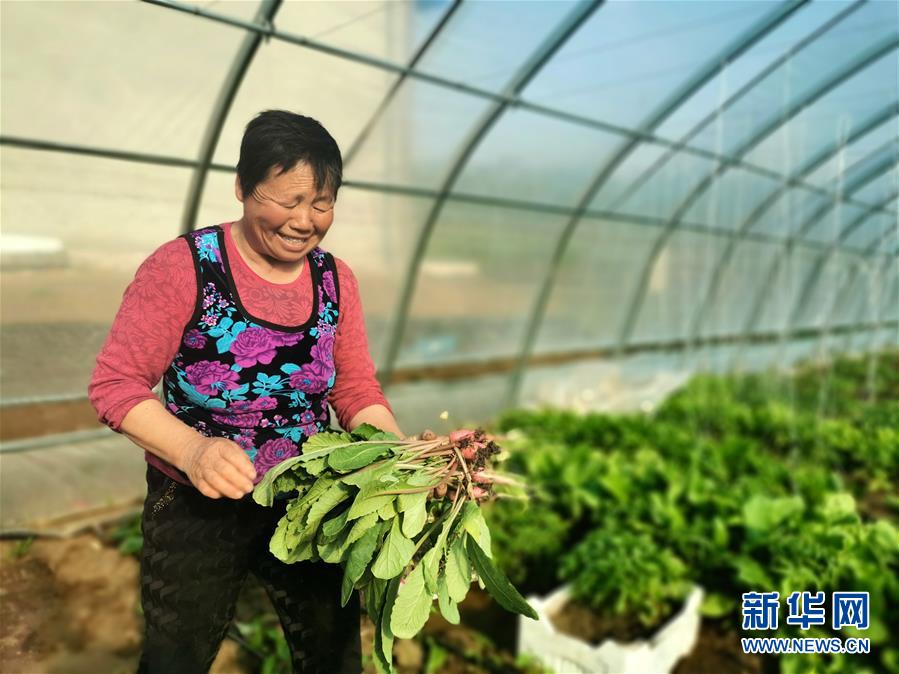 (圖文互動)(3)(在習近平新時代中國特色社會主義思想指引下——新時代新作為新篇章)“團結(jié)”振興團結(jié)村——黑龍江拜泉縣團結(jié)村凝聚民心攻堅脫貧