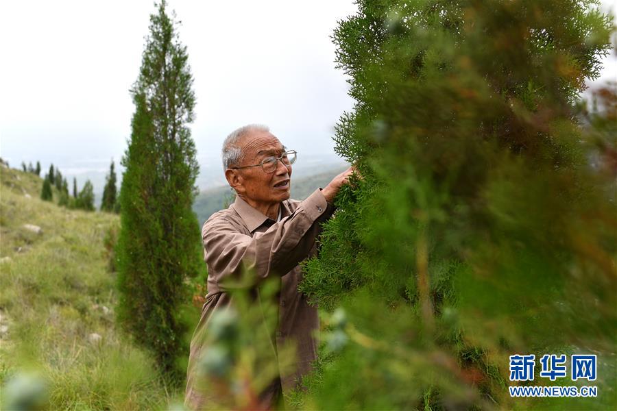 (在習(xí)近平新時代中國特色社會主義思想指引下——新時代新作為新篇章·圖文互動)(5)中條山下綠意濃——一個“資源窮縣”的生態(tài)發(fā)展之路