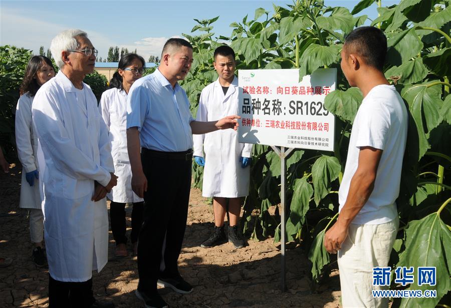 (愛國情 奮斗者·圖片互動)(3)張永平:像打造“中國芯”一樣打造“中國葵”