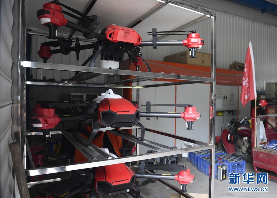 (在習(xí)近平新時(shí)代中國特色社會主義思想指引下——新時(shí)代新作為新篇章·圖文互動)(3)吉林萬昌現(xiàn)代農(nóng)業(yè)發(fā)展先導(dǎo)區(qū)“三變”