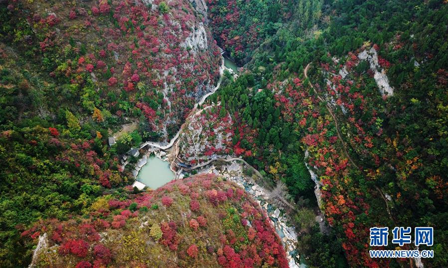 (壯麗70年·奮斗新時代——共和國發(fā)展成就巡禮·圖文互動)(2)以“綠色”身姿站上發(fā)展前沿——甘肅綠色轉(zhuǎn)型發(fā)展紀實