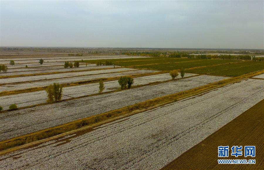 （壯麗70年&middot;奮斗新時(shí)代&mdash;&mdash;共和國發(fā)展成就巡禮&middot;圖文互動(dòng)）（1）鑄劍為犁造綠洲 安邊固疆筑&ldquo;長城&rdquo;&mdash;&mdash;新疆生產(chǎn)建設(shè)兵團(tuán)維穩(wěn)戍邊改革發(fā)展紀(jì)實(shí)