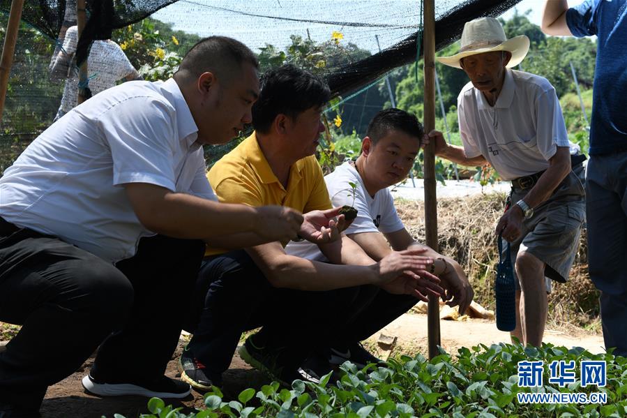（圖文互動(dòng)）（3）烏蒙山區(qū)扶貧第一書(shū)記背后的&ldquo;老監(jiān)工&rdquo;
