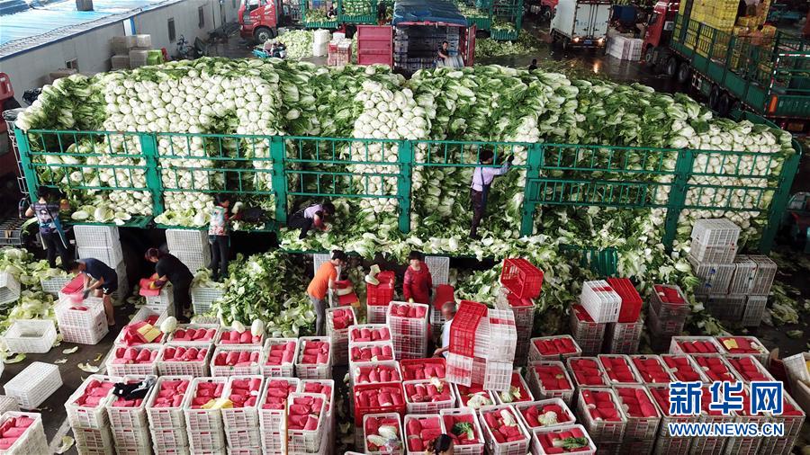 (壯麗70年·奮斗新時代——共和國發(fā)展成就巡禮)(5)看今朝齊風(fēng)魯韻 七十載芳華正勁——新中國成立以來山東領(lǐng)先發(fā)展紀(jì)實