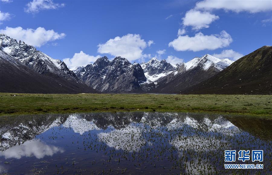 (今日關(guān)注·第一屆國(guó)家公園論壇·圖文互動(dòng))(6)首個(gè)國(guó)家公園什么樣?專家?guī)阆?ldquo;睹”為快