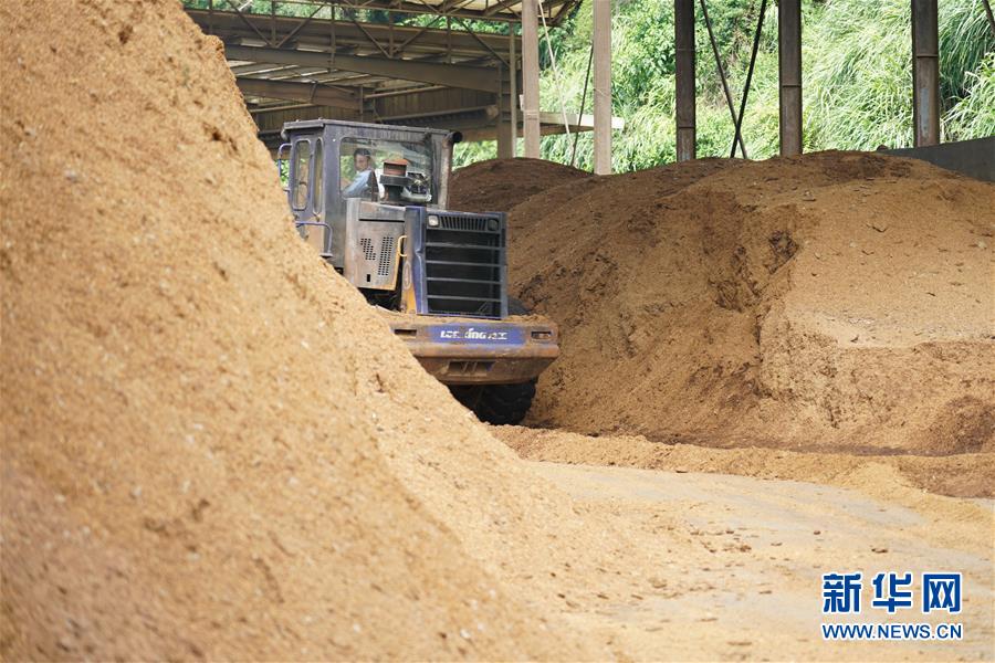 （在習(xí)近平新時代中國特色社會主義思想指引下&mdash;&mdash;新時代新作為新篇章&middot;總書記關(guān)心的百姓身邊事&middot;圖文互動）（4）大污染變身&ldquo;大寶藏&rdquo;：治理畜禽糞污，他們這樣干！