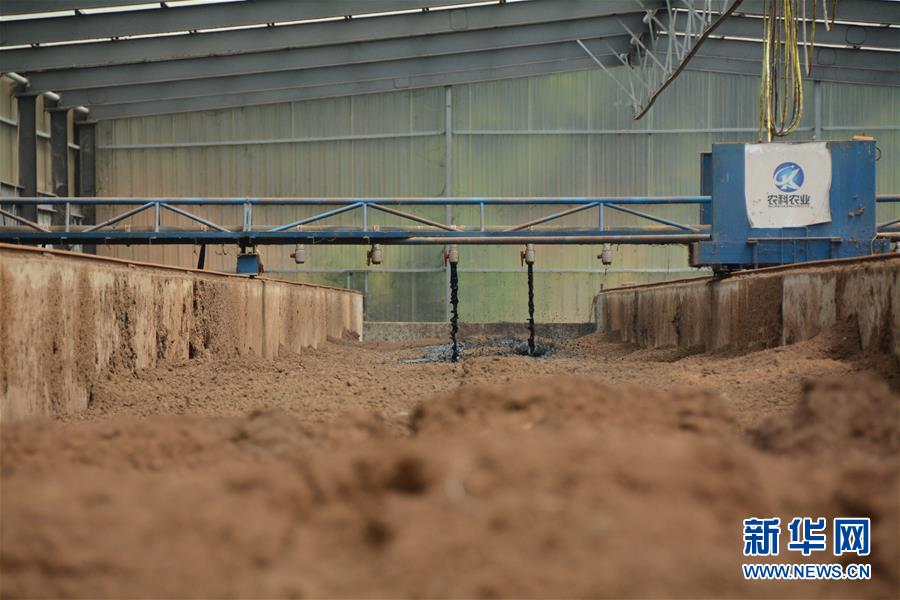 （在習(xí)近平新時代中國特色社會主義思想指引下&mdash;&mdash;新時代新作為新篇章&middot;總書記關(guān)心的百姓身邊事&middot;圖文互動）（5）大污染變身&ldquo;大寶藏&rdquo;：治理畜禽糞污，他們這樣干！