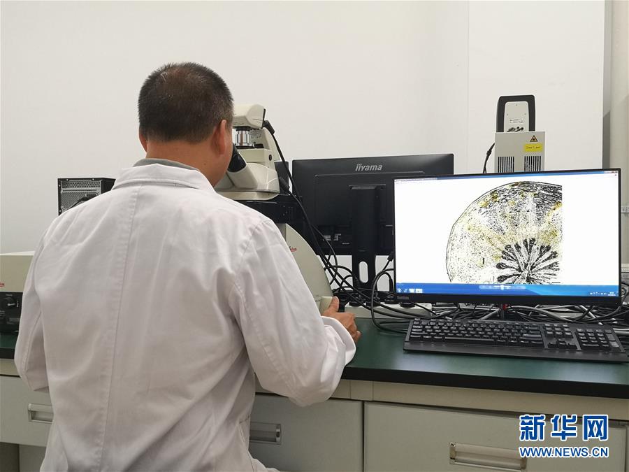 （新華調(diào)查&middot;新中國考古重大發(fā)現(xiàn)&middot;圖文互動(dòng)）（5）?；韬睿翰粌H僅是&ldquo;黃金大墓&rdquo;