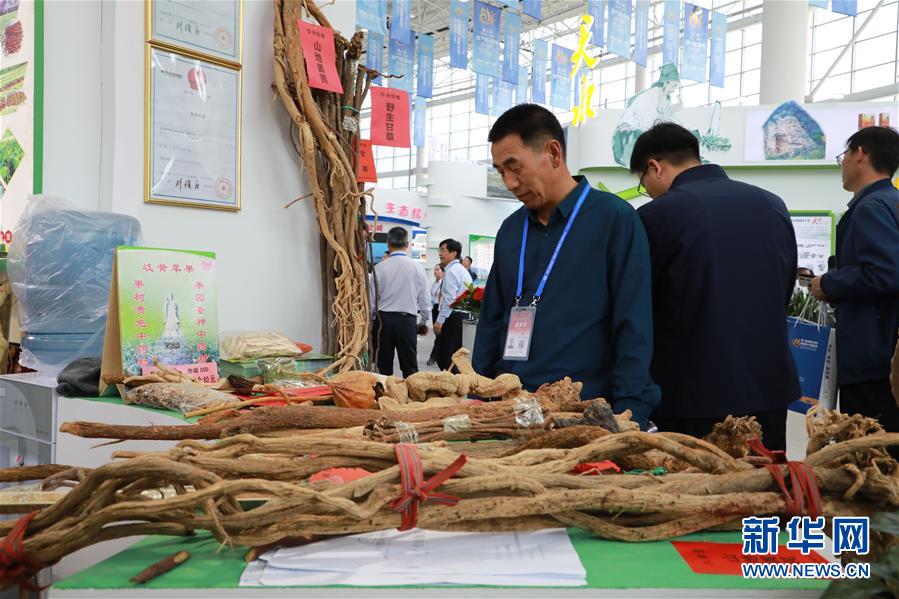 （來自一線的調(diào)查報告&middot;圖文互動）（1）甘肅：岐黃肇始地 振興開新方