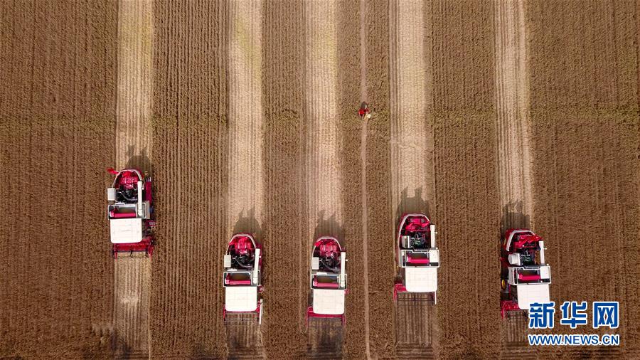 （&ldquo;中國之度&rdquo;系列述評(píng)&middot;圖文互動(dòng)）（8）中國速度&mdash;&mdash;新中國成立70周年成就述評(píng)之三