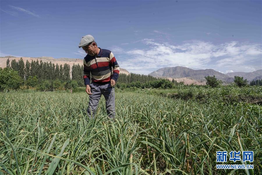 （決戰(zhàn)決勝脫貧攻堅(jiān)&middot;圖文互動(dòng)）（6）記者手記：尋訪(fǎng)昆侖&ldquo;桃花源&rdquo;的&ldquo;祛病&rdquo;良方