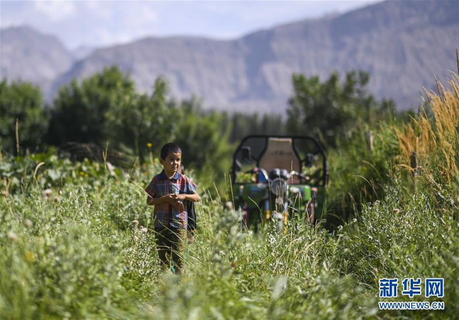 （決戰(zhàn)決勝脫貧攻堅(jiān)&middot;圖文互動(dòng)）（5）記者手記：尋訪(fǎng)昆侖&ldquo;桃花源&rdquo;的&ldquo;祛病&rdquo;良方