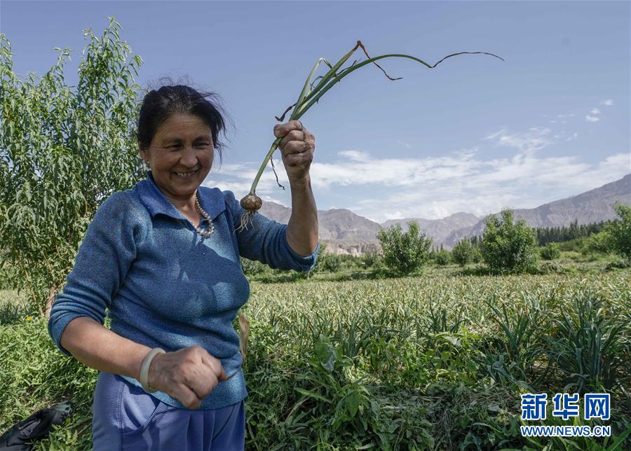 （決戰(zhàn)決勝脫貧攻堅(jiān)&middot;圖文互動(dòng)）（1）記者手記：尋訪(fǎng)昆侖&ldquo;桃花源&rdquo;的&ldquo;祛病&rdquo;良方