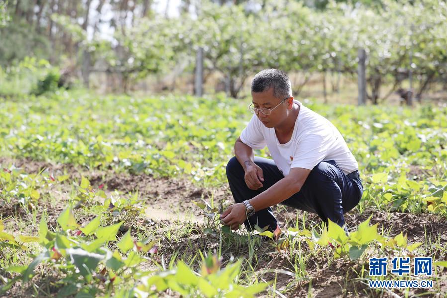 （不忘初心、牢記使命&middot;圖文互動(dòng)）（4）&ldquo;上天入地&rdquo;也要帶領(lǐng)鄉(xiāng)親脫貧&mdash;&mdash;記廣東那毛村駐村第一書記彭彬