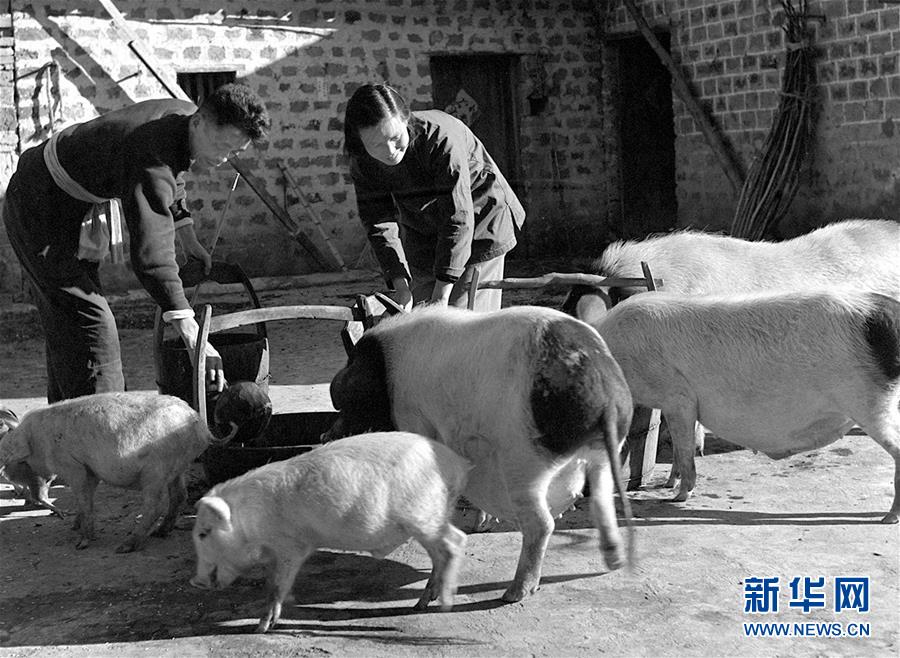 (紅土地“往事新說(shuō)”·圖文互動(dòng))(5)萬(wàn)里征途為初心 夫妻接力踐使命