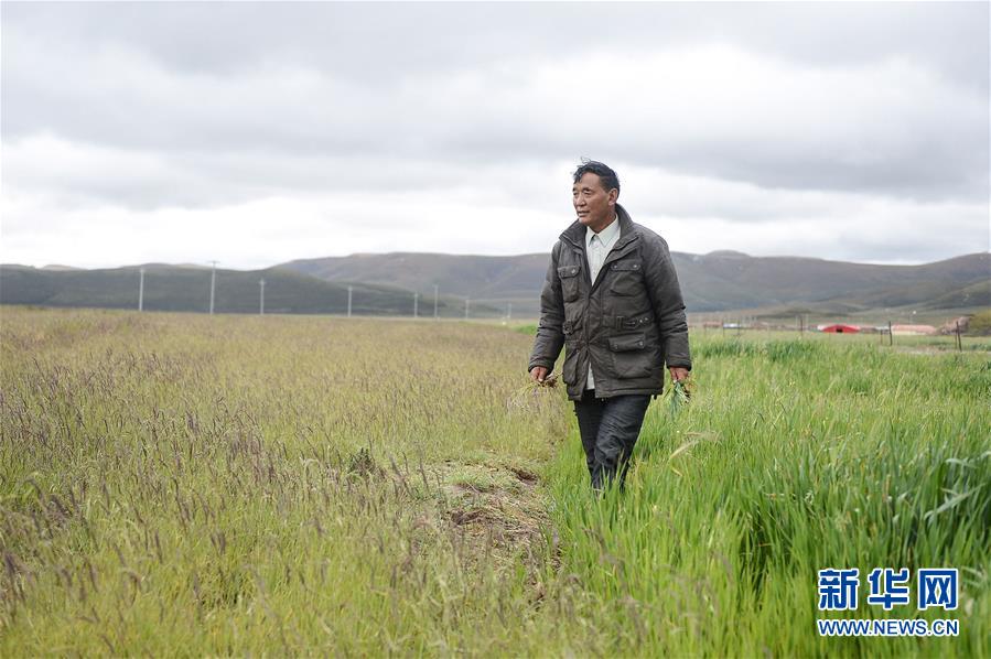 (新華全媒頭條·圖文互動(dòng))(8)確保“中華水塔”碧水東流——中國(guó)三江源生態(tài)保護(hù)報(bào)告