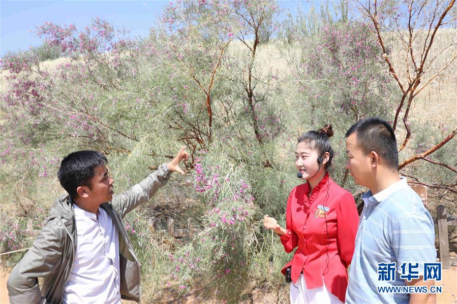 （走讀黃河&middot;圖文互動(dòng)）（2）中衛(wèi)：33萬(wàn)畝沙區(qū)變灌區(qū)