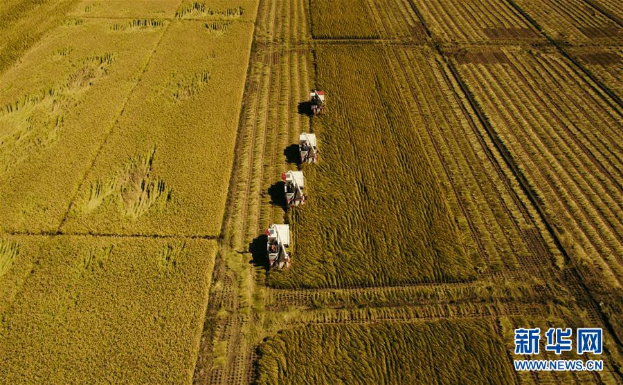 （新華全媒頭條&middot;圖文互動）（5）紅色的傳承，藍(lán)圖的起點&mdash;&mdash;新中國孕育與發(fā)展的&ldquo;東北記憶&rdquo;