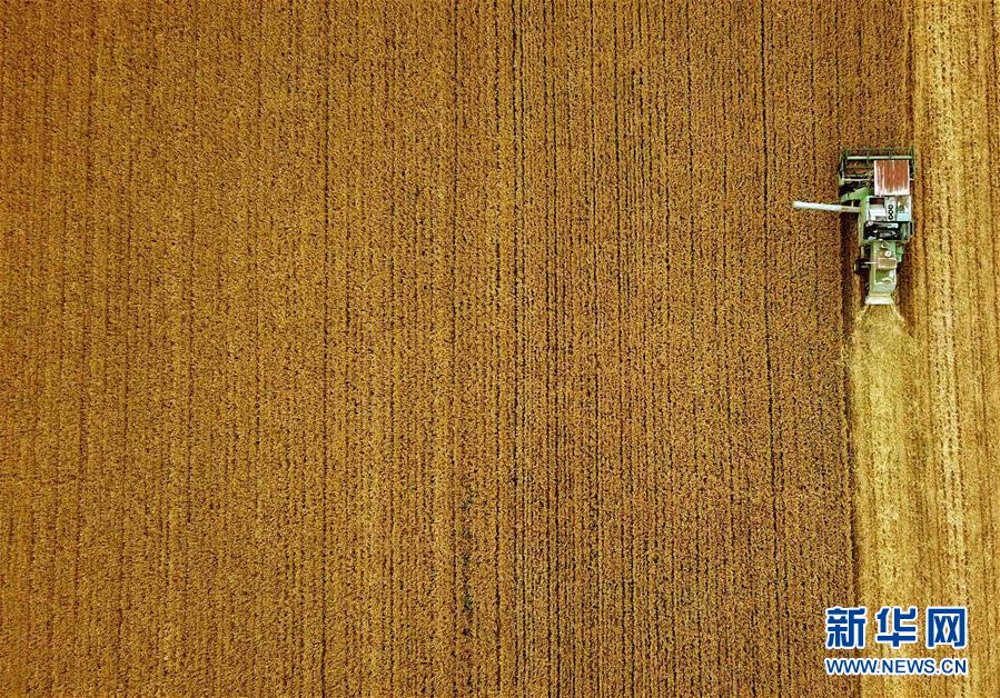 （新華全媒頭條&middot;圖文互動(dòng)）（7）大國(guó)糧倉(cāng)的新時(shí)代交響&mdash;&mdash;河南農(nóng)業(yè)70年觀察