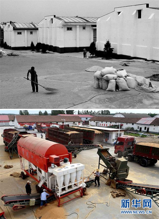 （新華全媒頭條&middot;圖文互動(dòng)）（9）大國(guó)糧倉(cāng)的新時(shí)代交響&mdash;&mdash;河南農(nóng)業(yè)70年觀察