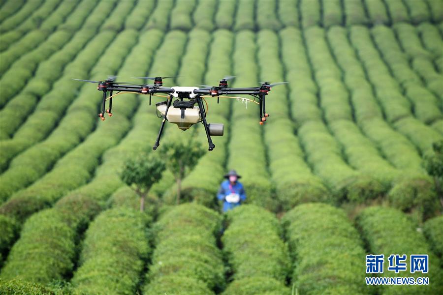 （全面深化改革&middot;圖文互動(dòng)）（6）&ldquo;減&rdquo;出效益 &ldquo;融&rdquo;出特色 &ldquo;服&rdquo;出動(dòng)力&mdash;&mdash;貴州推進(jìn)農(nóng)村產(chǎn)業(yè)結(jié)構(gòu)調(diào)整觀察