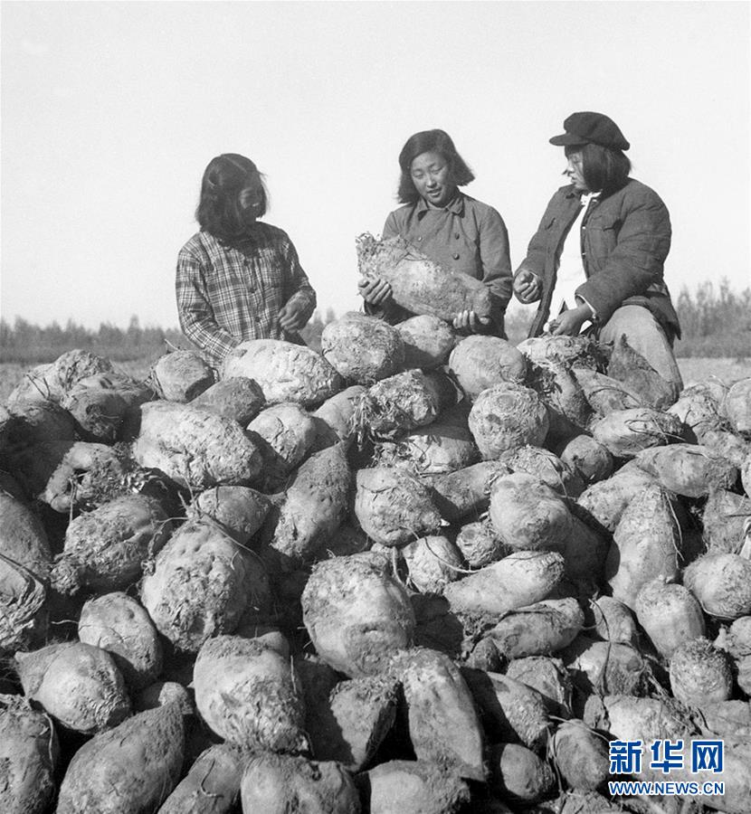 （圖文互動(dòng)）（2）為了&ldquo;中國(guó)號(hào)&rdquo;巨輪揚(yáng)帆遠(yuǎn)航&mdash;&mdash;中國(guó)共產(chǎn)黨領(lǐng)導(dǎo)下的人民軍隊(duì)忠于祖國(guó)、服務(wù)人民啟示錄