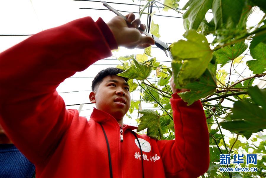 (在習(xí)近平新時代中國特色社會主義思想指引下——新時代新作為新篇章·總書記關(guān)心的百姓身邊事·圖文互動)(1)“農(nóng)”字頭照樣“大”作為——豐收時節(jié)看涉農(nóng)高校人才在希望的田野