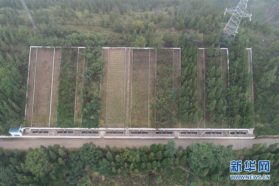 (走讀黃河·圖文互動)(4)攔沙入黃顯“功夫”——黃土高原無定河畔淤地壩見聞