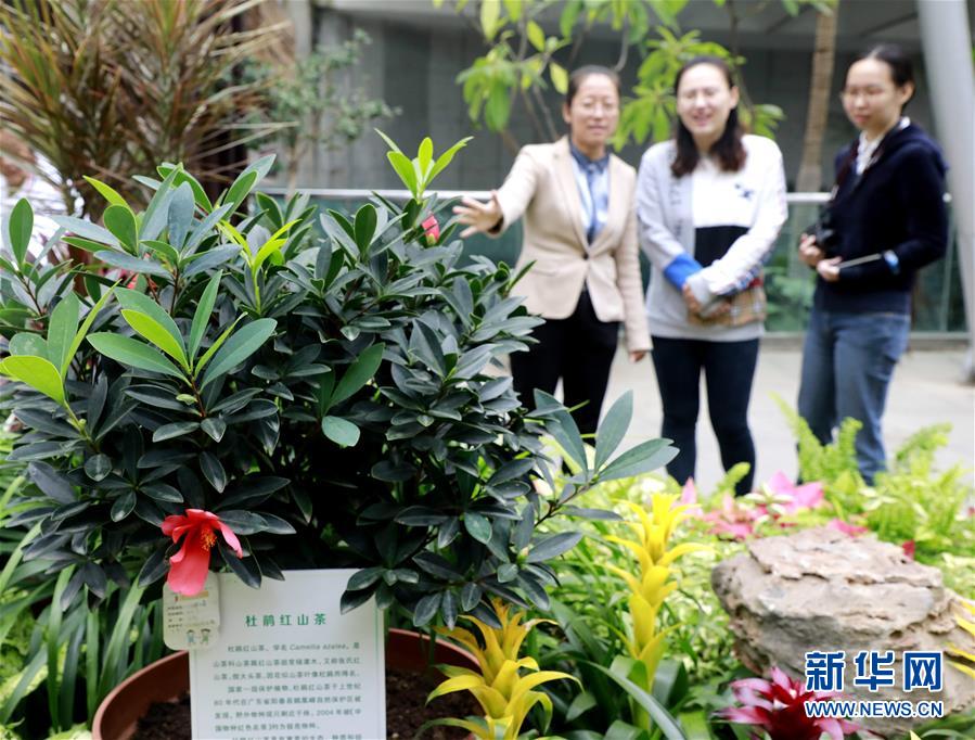 (圖文互動(dòng))(1)北京世園會(huì)200余個(gè)特有珍稀植物品種搬入北京植物園