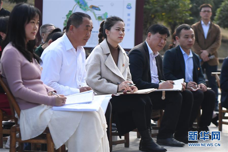 (四中全會精神在基層·圖文互動)(4)學(xué)習(xí)貫徹黨的十九屆四中全會精神中央宣講團(tuán)在湖南宣講