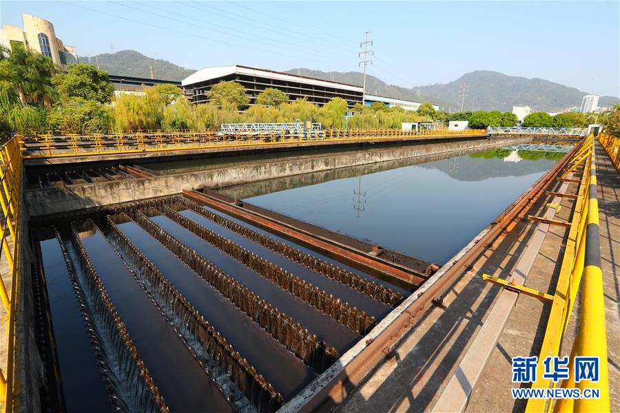 (新華全媒頭條·四中全會(huì)精神在基層·圖文互動(dòng))(2)“活優(yōu)富美”——八閩大地感受“中國(guó)之治”的生動(dòng)樣本