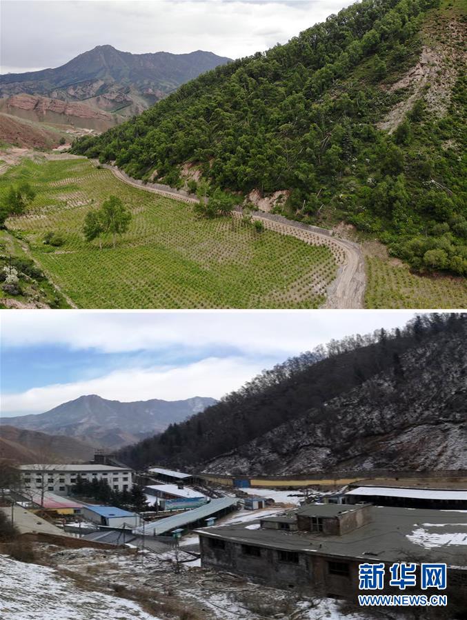 （新華全媒頭條&middot;圖文互動）（8）綠色的啟示&mdash;&mdash;西部地區(qū)生態(tài)問題典型個案再調(diào)查