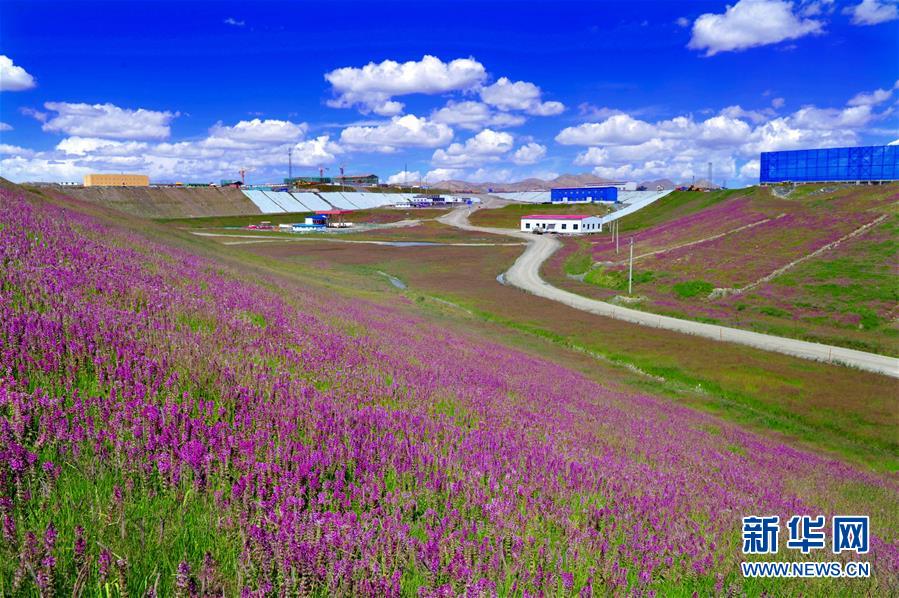 （新華全媒頭條&middot;圖文互動）（7）綠色的啟示&mdash;&mdash;西部地區(qū)生態(tài)問題典型個案再調(diào)查
