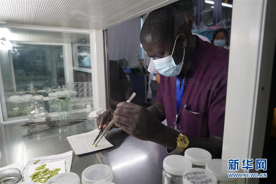 (在習(xí)近平新時(shí)代中國(guó)特色社會(huì)主義思想指引下——新時(shí)代新作為新篇章·總書(shū)記關(guān)切開(kāi)放事·圖文互動(dòng))(8)來(lái)中國(guó)“學(xué)種地”的“洋學(xué)生”