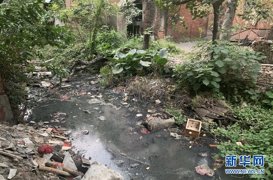 （圖文互動）（1）河長職責寫得明明白白，條條舉措無一落實&mdash;&mdash;國務院檢查組暗訪核查佛山一農(nóng)村河涌黑臭十余年無人管理