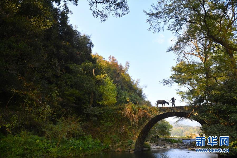 （圖文互動）（3）鄉(xiāng)村攝影師、鄉(xiāng)村&ldquo;模特&rdquo;、民宿店主&mdash;&mdash;鄉(xiāng)村旅游推動婺源農(nóng)民生活方式發(fā)生新變化