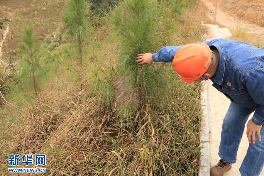 （生態(tài)文明建設&middot;圖文互動）（3）粵北生態(tài)發(fā)展區(qū)筑牢粵港澳大灣區(qū)綠色屏障