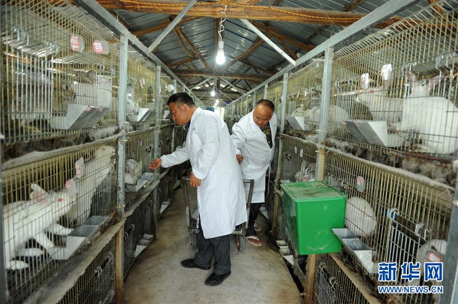 （新華全媒頭條&middot;圖文互動(dòng)）（4）干部去哪兒了？&mdash;&mdash;貴州干部大規(guī)模下沉脫貧攻堅(jiān)一線紀(jì)實(shí)