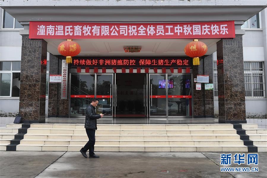 （在習(xí)近平新時代中國特色社會主義思想指引下&mdash;&mdash;新時代新作為新篇章&middot;總書記關(guān)切高質(zhì)量發(fā)展&middot;圖文互動）（1）穩(wěn)住&ldquo;一頭豬&rdquo;、供好&ldquo;一袋米&rdquo;、配好&ldquo;一籃菜