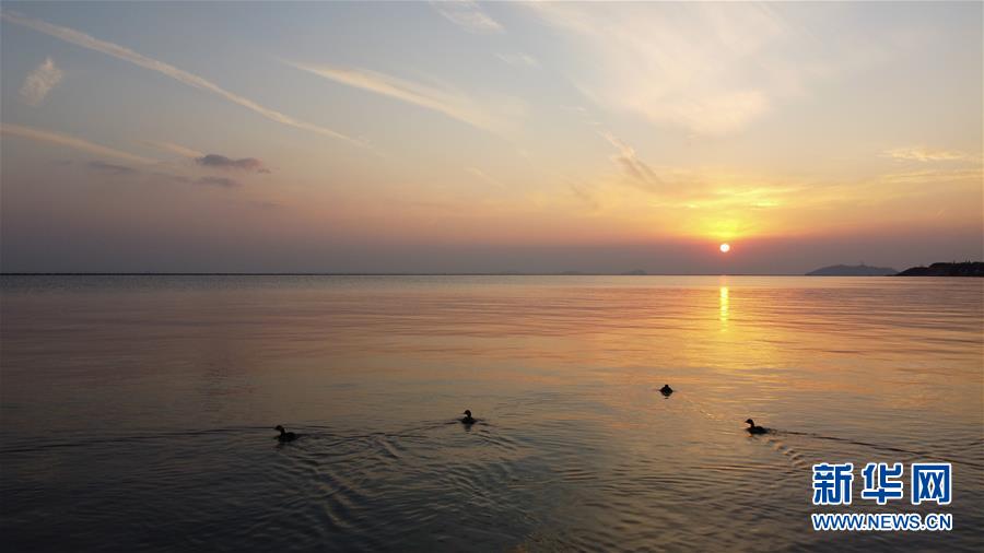 (新華全媒頭條·圖文互動(dòng))(4)大湖見證——長三角三大淡水湖綠色發(fā)展之路