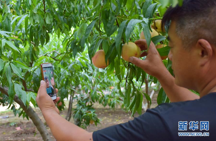 （在習近平新時代中國特色社會主義思想指引下&mdash;&mdash;新時代新作為新篇章&middot;總書記關切脫貧事&middot;決勝貧困&middot;圖文互動）（6）讓一方水土&ldquo;富養(yǎng)&rdquo;一方人&mdash;&mdash;扶貧特色產業(yè)惠及千家萬戶