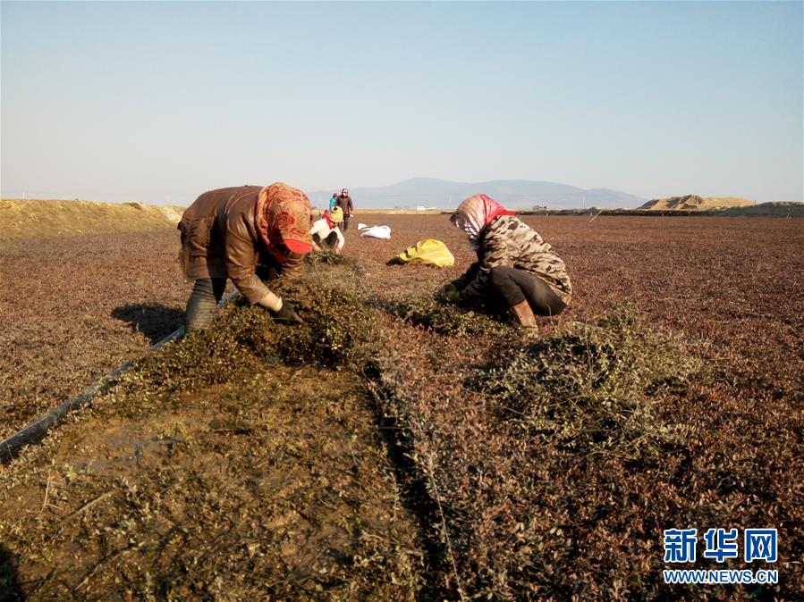 （圖文互動）（8）從&ldquo;輕工漁網(wǎng)重工馬掌&rdquo;到&ldquo;圓夢小康&rdquo;&mdash;&mdash;&ldquo;中國東極&rdquo;脫貧攻堅剪影