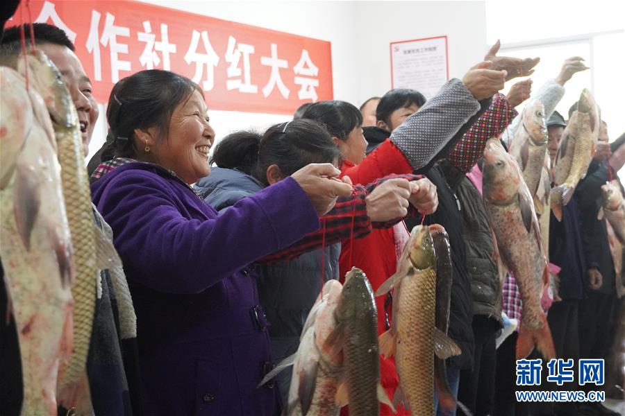 （新春走基層&middot;圖文互動）（3）&ldquo;空殼村&rdquo;分紅啦！