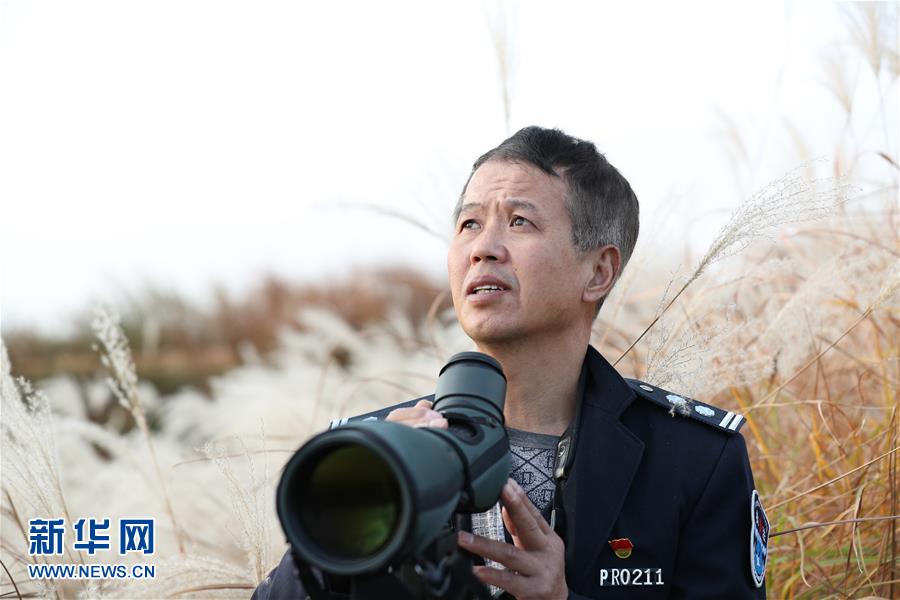 （新春走基層&middot;圖文互動(dòng)）他們，默默守護(hù)候鳥