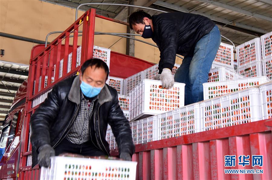 （聚焦疫情防控&middot;圖文互動）（5）吃的東西充足，做點花樣菜吧！&mdash;&mdash;中部地區(qū)最大農(nóng)產(chǎn)品批發(fā)市場見聞 