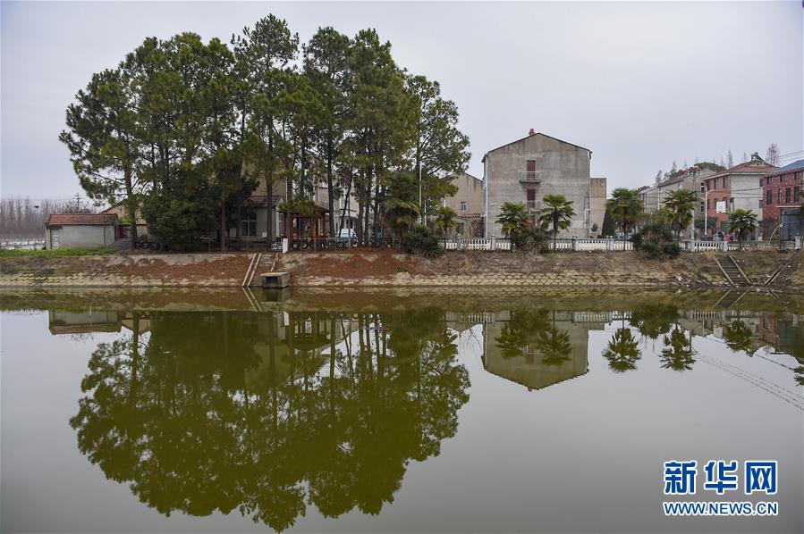 （聚焦疫情防控&middot;圖文互動）（3）一個湖北村莊的阻擊戰(zhàn)