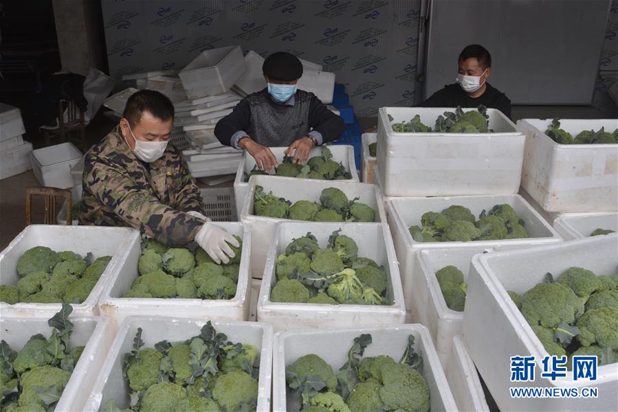 （做好六穩(wěn)工作 應(yīng)對復(fù)雜局面&middot;圖文互動）（2）穩(wěn)住&ldquo;菜籃子&rdquo; 守住&ldquo;好日子&rdquo;